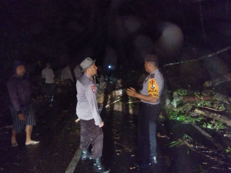 evakuasi tanah longsor Personil Polsek Waipia Polres Maluku Tengah, Brimob Den B Pelopor dan masyarakat