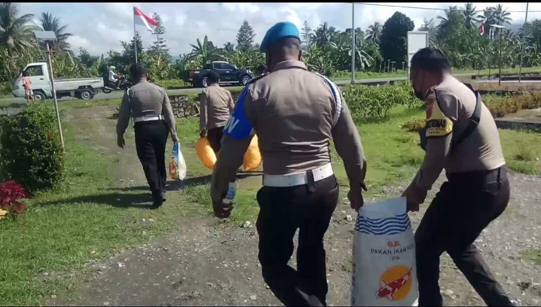 Operasi Rutin, Polsek Waipia Amankan 350 Liter Miras Jenis Sopi