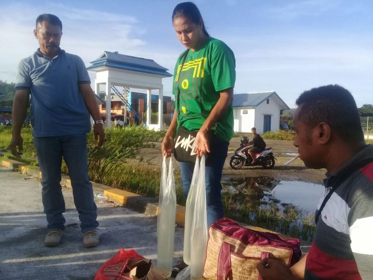 Razia Miras,  Satuan Narkoba Polres Maluku Tengah Sita Puluhan Liter Sopi