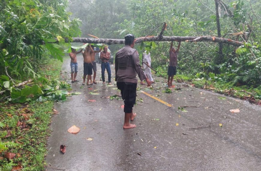 Halangi Jalan, Bhabinkamtibmas Bantu Warga Evakuasi Pohon Tumbang